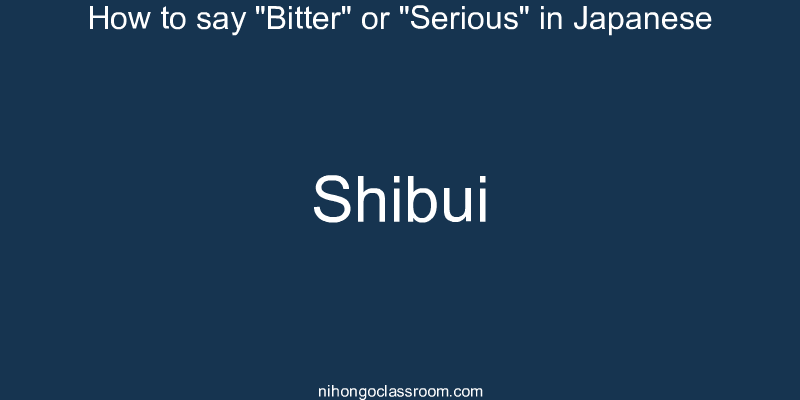 How to say "Bitter" or "Serious" in Japanese shibui