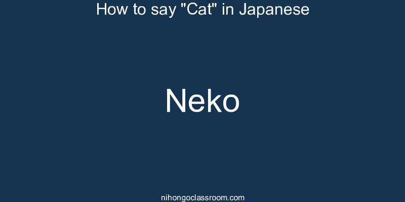 How to say "Cat" in Japanese neko