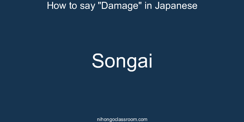 How to say "Damage" in Japanese songai