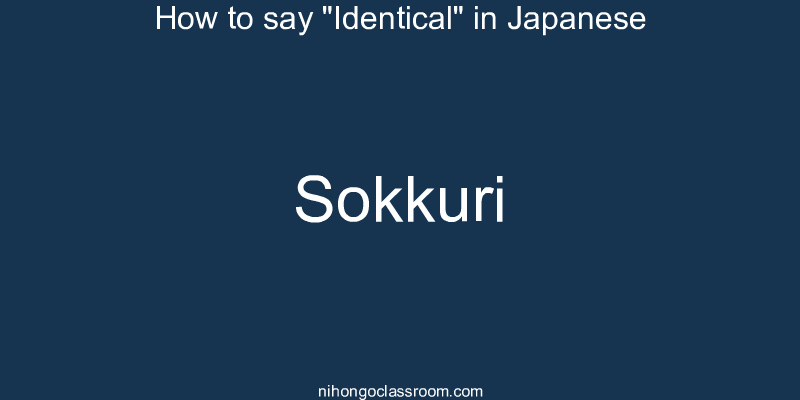 How to say "Identical" in Japanese sokkuri