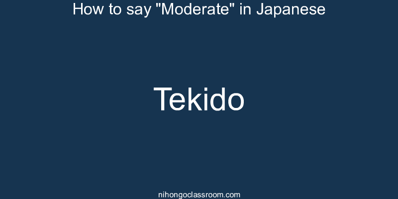 How to say "Moderate" in Japanese tekido