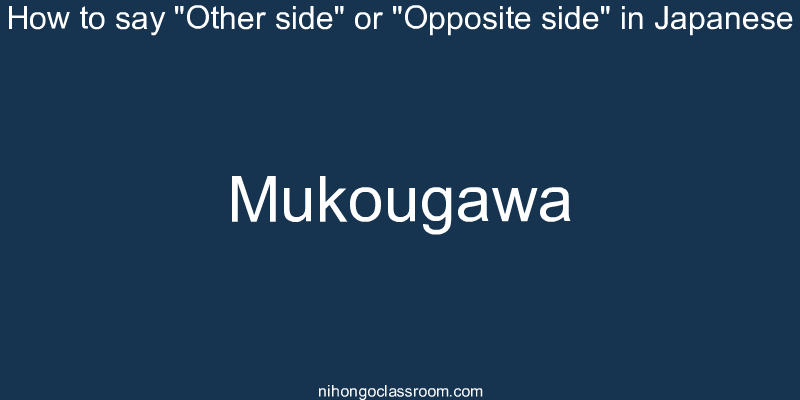 How to say "Other side" or "Opposite side" in Japanese mukougawa