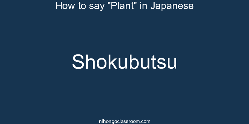 How to say "Plant" in Japanese shokubutsu
