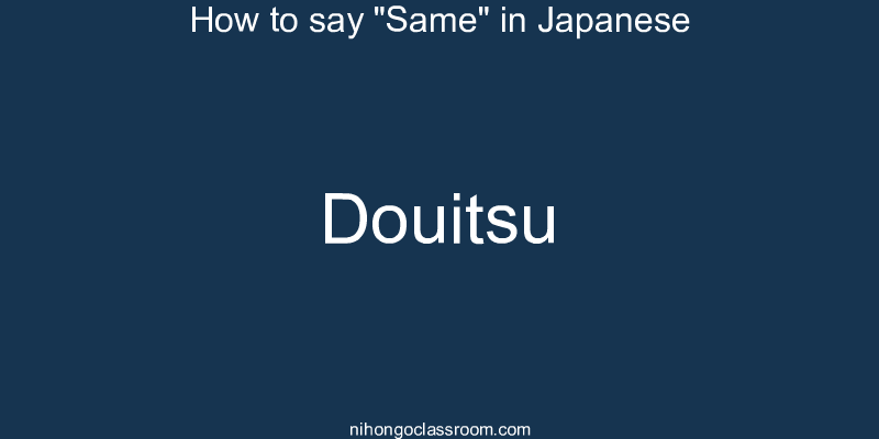 How to say "Same" in Japanese douitsu