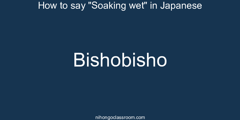 How to say "Soaking wet" in Japanese bishobisho