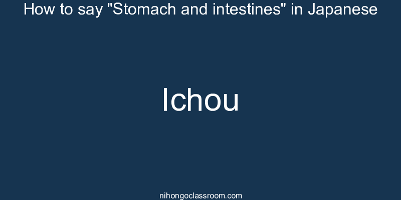How to say "Stomach and intestines" in Japanese ichou