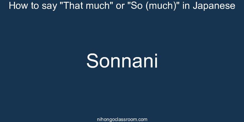 How to say "That much" or "So (much)" in Japanese sonnani