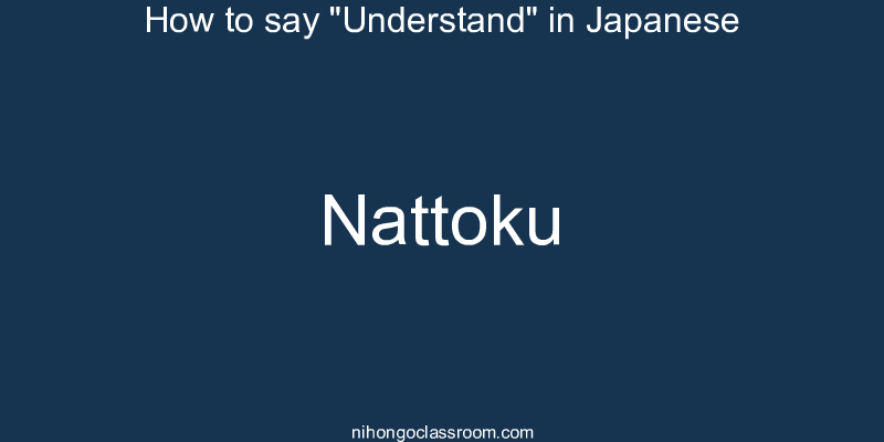 How to say "Understand" in Japanese nattoku